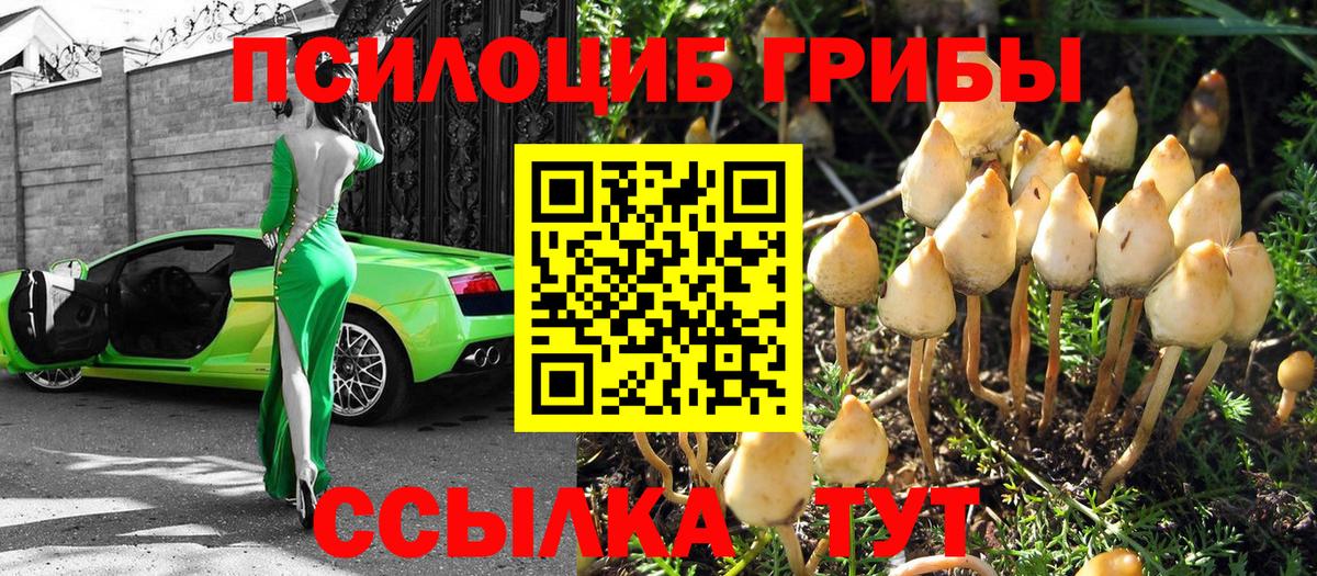 Псилоцибиновые грибы прущие грибы  Псилоцибиновые грибы Cubensis  Морозовск  Вход с VPN 